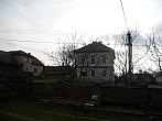 Třibřichy
